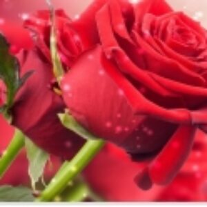 زندگی نامه سردار حاج قاسم سلیمانی