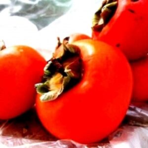 14درمان خانگی موثربرای سرفه