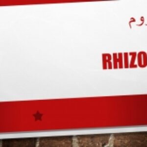 لیست منابع معتبر درباره ریزوم  (فرمتAPA)