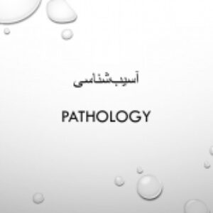 لیست منابع معتبر درباره آسیب‌شناسی در شهرسازی (فرمتAPA)