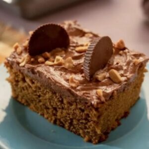 20 نوع دستور پخت کیک ساده در سینی فر