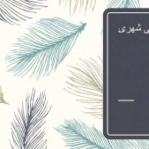 حکمروایی شهری