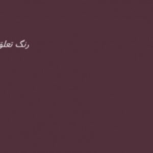 پاورپوینت رنگ تعلق در محیط‌های پاسخده