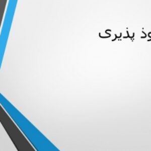 پاورپوینت نفذپذیری در محیط‌های پاسخده