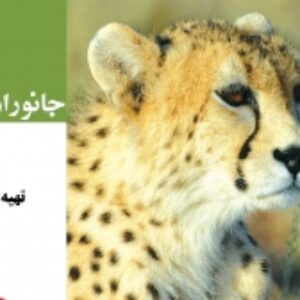 پاورپوینت فصل 14 علوم نهم - جانوران مهره دار