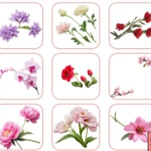 دانلود مجموعه تصویر گل ها با فرمت پی ان جی (png) و بدون پس زمینه (سری دوم)