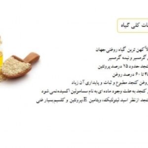 گیاه دانه روغنی کنجد