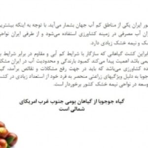 گیاه زراعی جوجوبا
