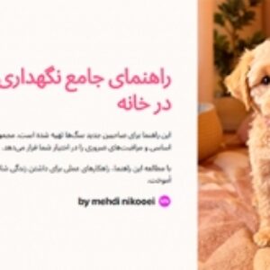 بهترین راهنمای آموزش سگ ها