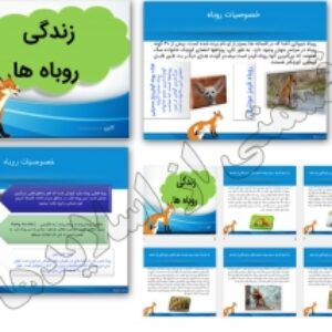 دانلود پاورپوینت درباره زندگی روباه ها 44 اسلاید