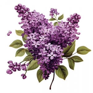 وکتور گل سنبل png
