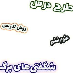 طرح درس و روش تدریس علوم ششم، درس11: شگفتی های برگ