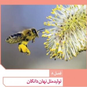 فایل صوتی فصل هشتم زیست شناسی یازدهم