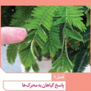 فایل صوتی فصل نهم زیست شناسی یازدهم