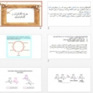 پاورپوینت چرخه گلیکوژنولیز و  گلیکوژنز