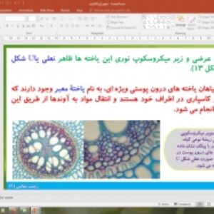 پاورپوینت گفتار 3 زیست شناسی دهم تجربی: انتقال مواد در گیاهان (جذب و انتقال مواد در گیاهان)