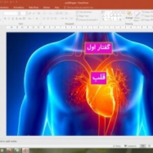 پاورپوینت فصل 4 زیست شناسی دهم تجربی: (گردش مواد در بدن)
