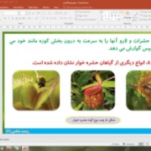 پاورپوینت گفتار 2 زیست شناسی دهم تجربی: جانداران مؤثر در تغذیە گیاهی (جذب و انتقال مواد در گیاهان)