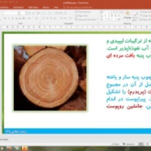 پاورپوینت گفتار 3 زیست شناسی دهم تجربی: ساختار گیاهان (از یاخته تا گیاه)