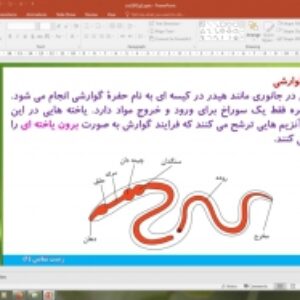 پاورپوینت گفتار 3 زیست شناسی دهم تجربی: تنوع گوارش در جانداران (گوارش و جذب مواد)