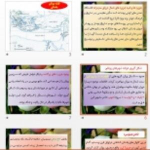 درس 6 تاریخ 1 پایه دهم ( یونان و روم ) رشته انسانی