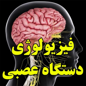 فیزیولوژی دستگاه عصبی