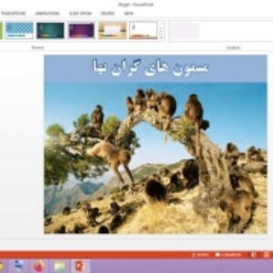 دانلود پاورپوینت میمون های گران بها تفکر و پژوهش پایه ششم