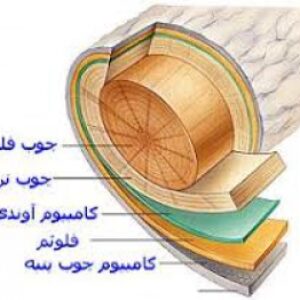 تدریس چوب و فرآورده های چوبی