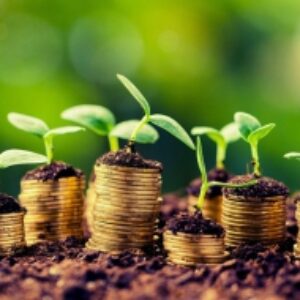 پاورپوینت کامل و جامع با عنوان بازاریابی محصولات کشاورزی در 25 اسلاید