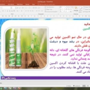 پاورپوینت گفتار 1 زیست شناسی پایه یازدهم تجربی: تنظیم کننده های رشد در گیاهان (فصل 9 پاسخ گیاهان به محرک ها)