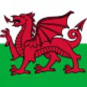 پاورپوینت کامل و جامع با عنوان بررسی کشور ولز (Wales) در 32 اسلاید