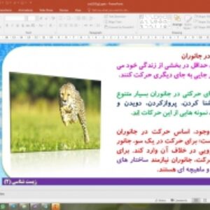 پاورپوینت گفتار 2 زیست شناسی پایه یازدهم تجربی: ماهيچه و حرکت (فصل 3 دستگاه حرکتی)