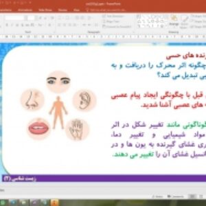 پاورپوینت گفتار 1 زیست شناسی پایه یازدهم تجربی: گیرنده های حسی (فصل 2 حواس)