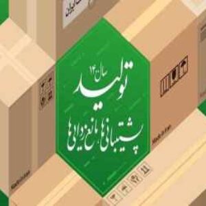 پاورپوینت تولید،پشتیبانی ها،مانع زدایی