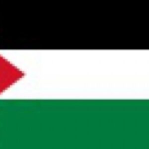 پاورپوینت کامل و جامع با عنوان بررسی نوار غزه (Gaza Strip) در 39 اسلاید