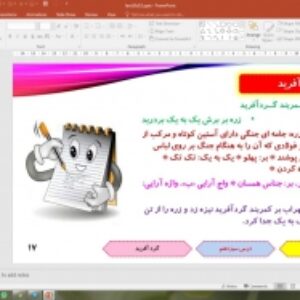 پاورپوینت درس 13 فارسی پایه دهم: گرد آفرید