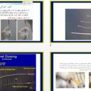 فایل پاورپوینت تزریقات در حیوانات آزمایشگاهی