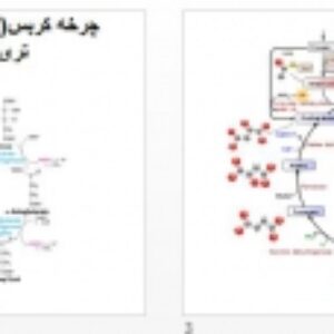 فایل پاورپوینت چرخه کربس