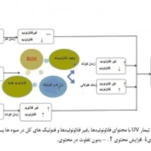 تیمار با اشعه ماوراء بنفش UV کیفیت پس از برداشت میوه ها و سبزیجات به وسیله ی ایجاد مقاومت بهبود یافته (به همراه ترجمه)