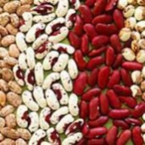 دانلود پاور پوینت تحقیق لوبیا