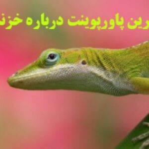 کامل ترین پاورپوینت درباره زندگی خزندگان در 61 اسلاید