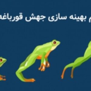 الگوریتم فراابتکاری قورباغه