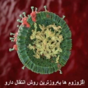 اگزوزوم ها و نحوه عملکرد در انتقال دارو و نقش در درمان سرطان