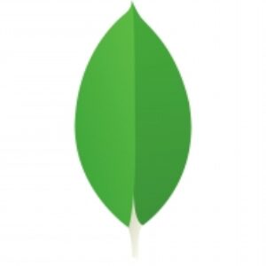 مقاله در مورد پایگاه داده MongoDB
