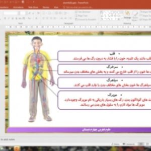 پاورپوینت درس 10 علوم تجربی پایه چهارم دبستان (ابتدایی): بدن ما (2)