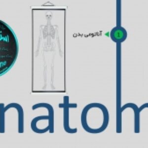 قالب آناتومی بدن پاورپوینت (قابل ویرایش)