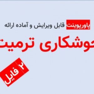 پاورپوینت جوشکاری ترمیت (2 فایل مجزا و قابل ویرایش)
