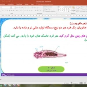 پاورپوینت گفتار 4 زیست شناسی یازدهم تجربی: تولید مثل در جانوران (تولید مثل)