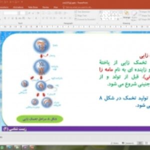 پاورپوینت گفتار 2 زیست شناسی یازدهم تجربی: دستگاه تولید مثل در زن (تولید مثل)