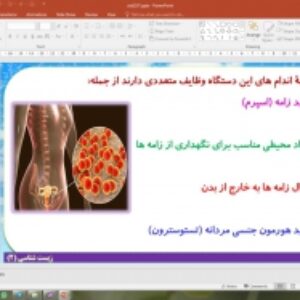 پاورپوینت فصل 7 زیست شناسی یازدهم تجربی: تولید مثل